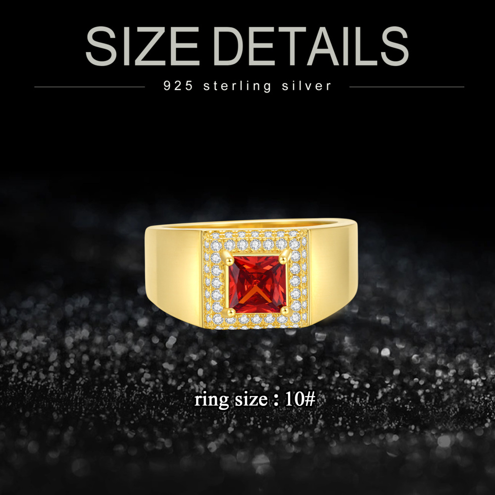 10K White Gold Princess Personalized Birthstone Ring For Men-3