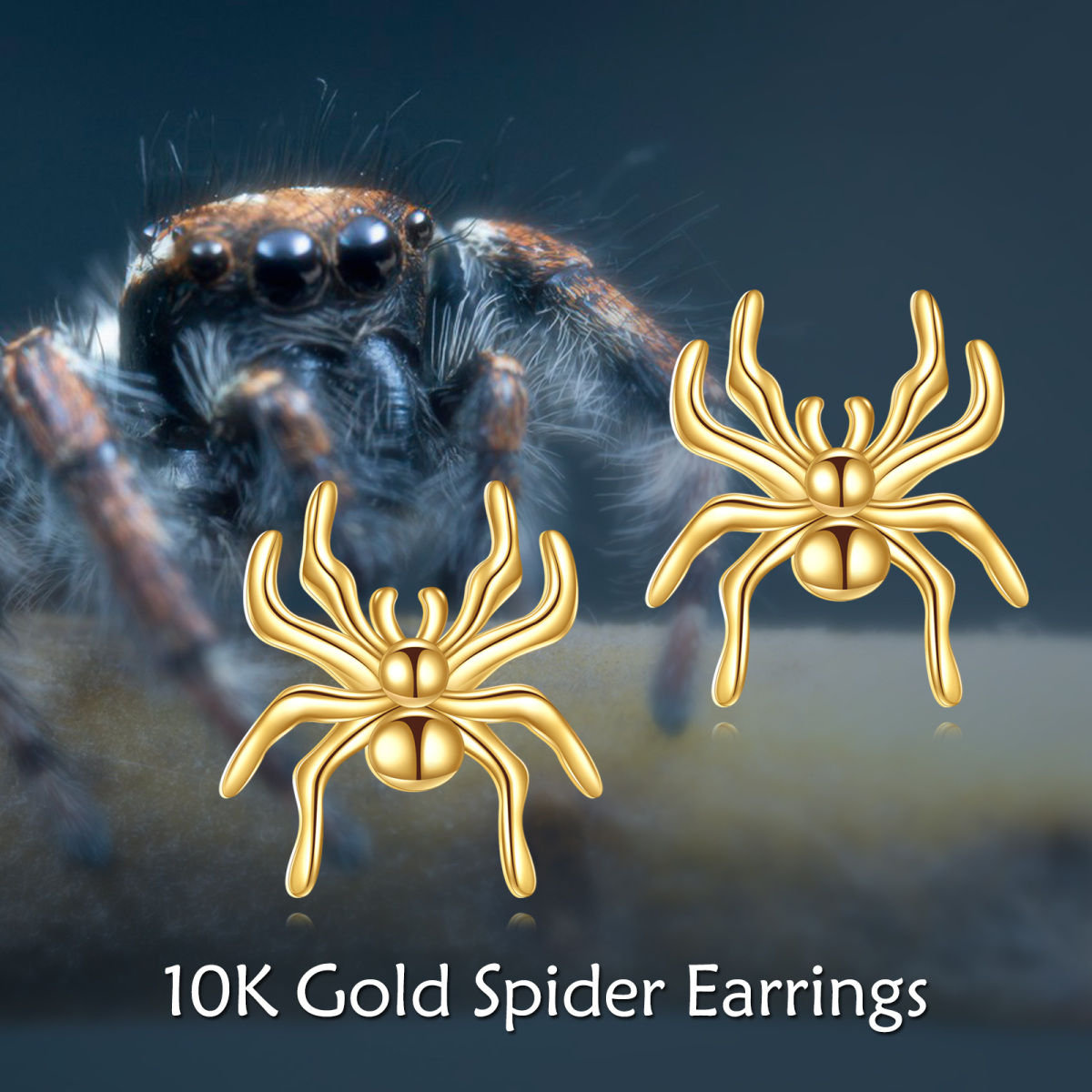 14K Gold Spider Stud Earrings-6