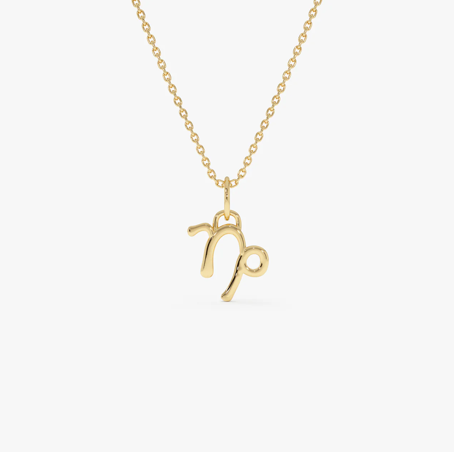 14K Capricorn Zodiac Charm Necklace-1