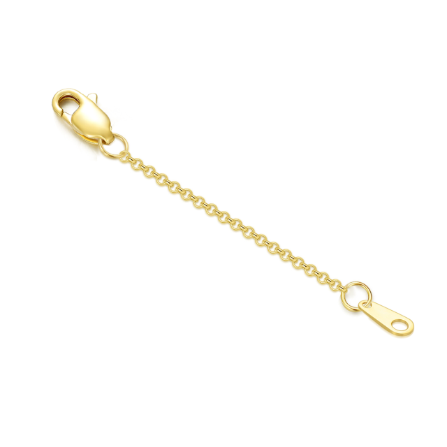 14K Gold 1.1mm Rolo Chain Extender Chain-1