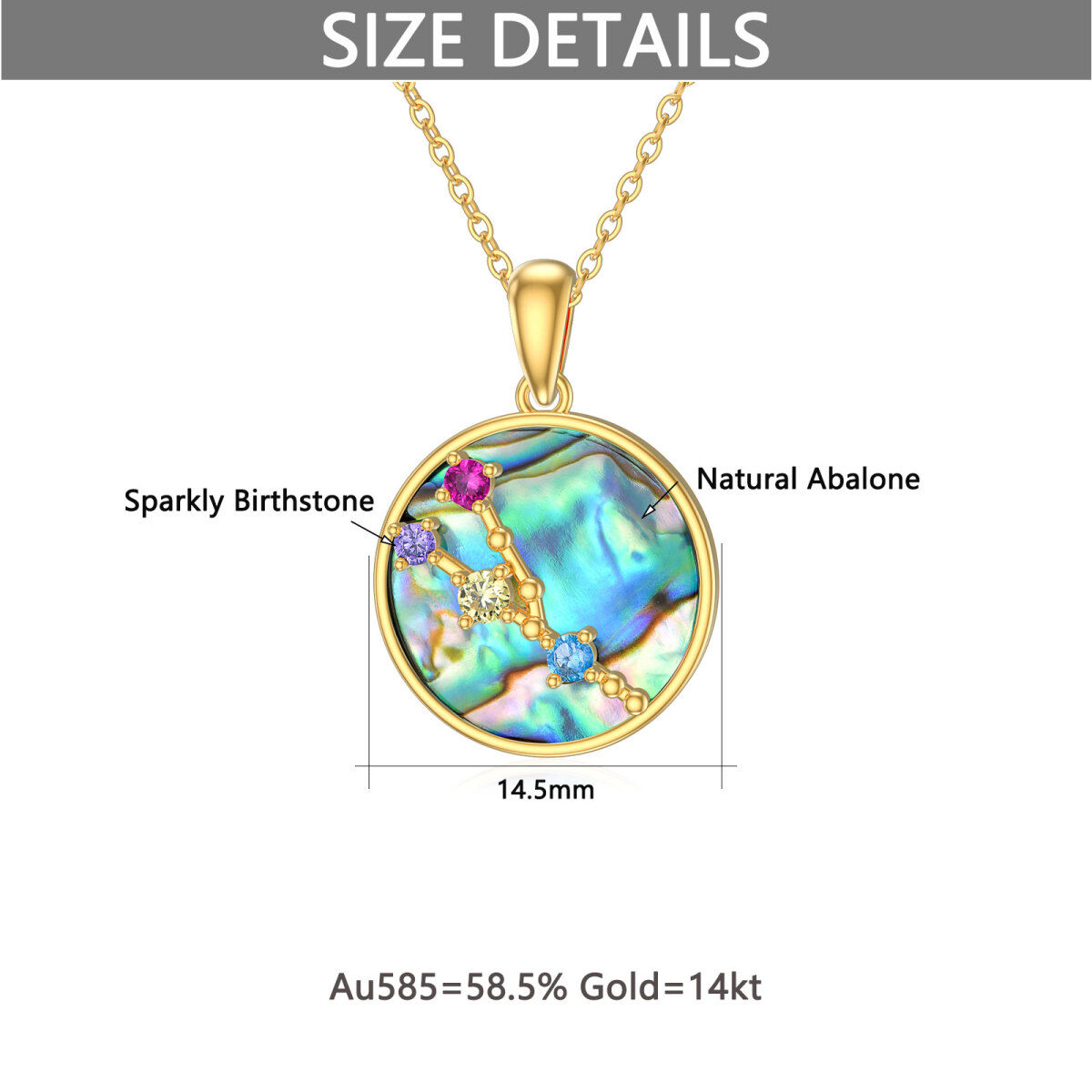 10K Gold Circular Shaped Abalone Shellfish Taurus Circle Pendant Necklace-5