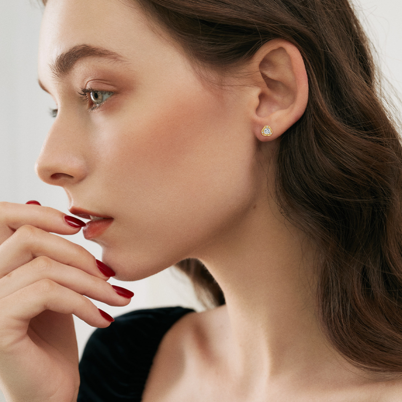 Boucles d'oreilles puces rondes en or 18 carats et zircon cubique-2