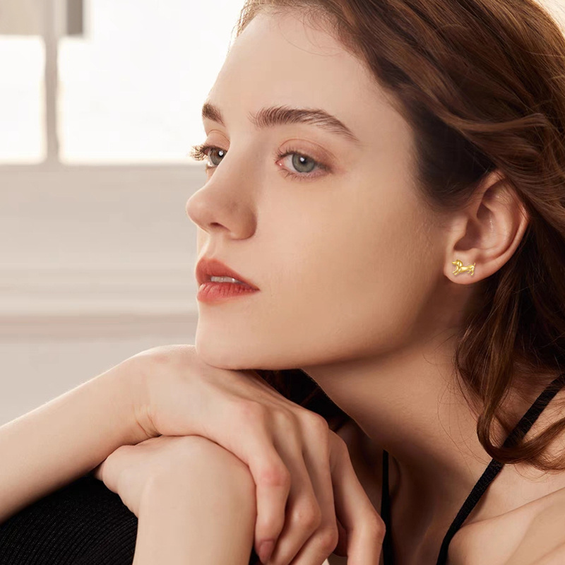 Brincos de pino de cachorro de ouro 10K-2