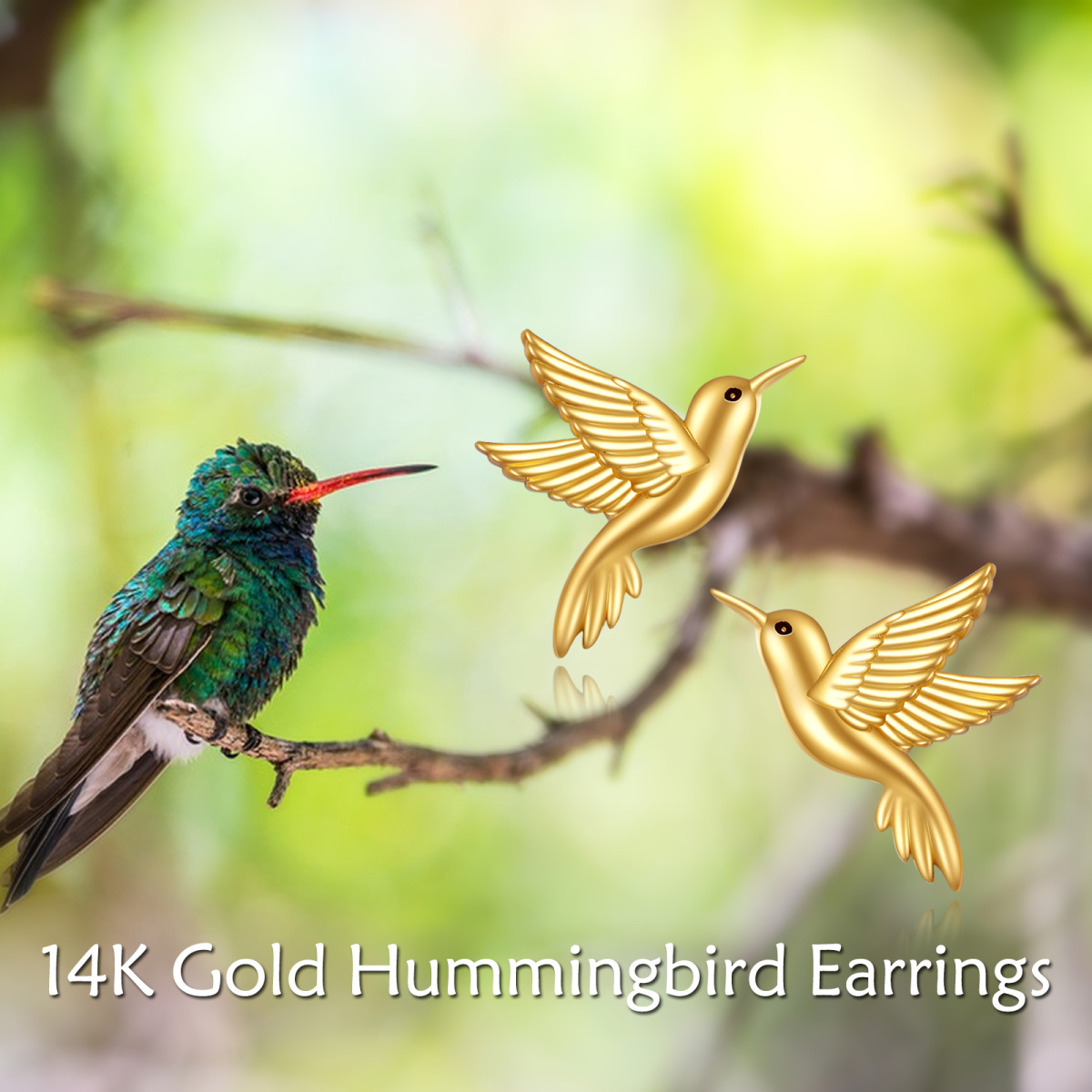 10K Gold Hummingbird Stud Earrings-6