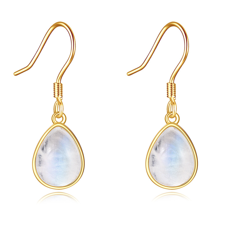 10K Gold Moonstone Drop Shape Drop Earrings-1