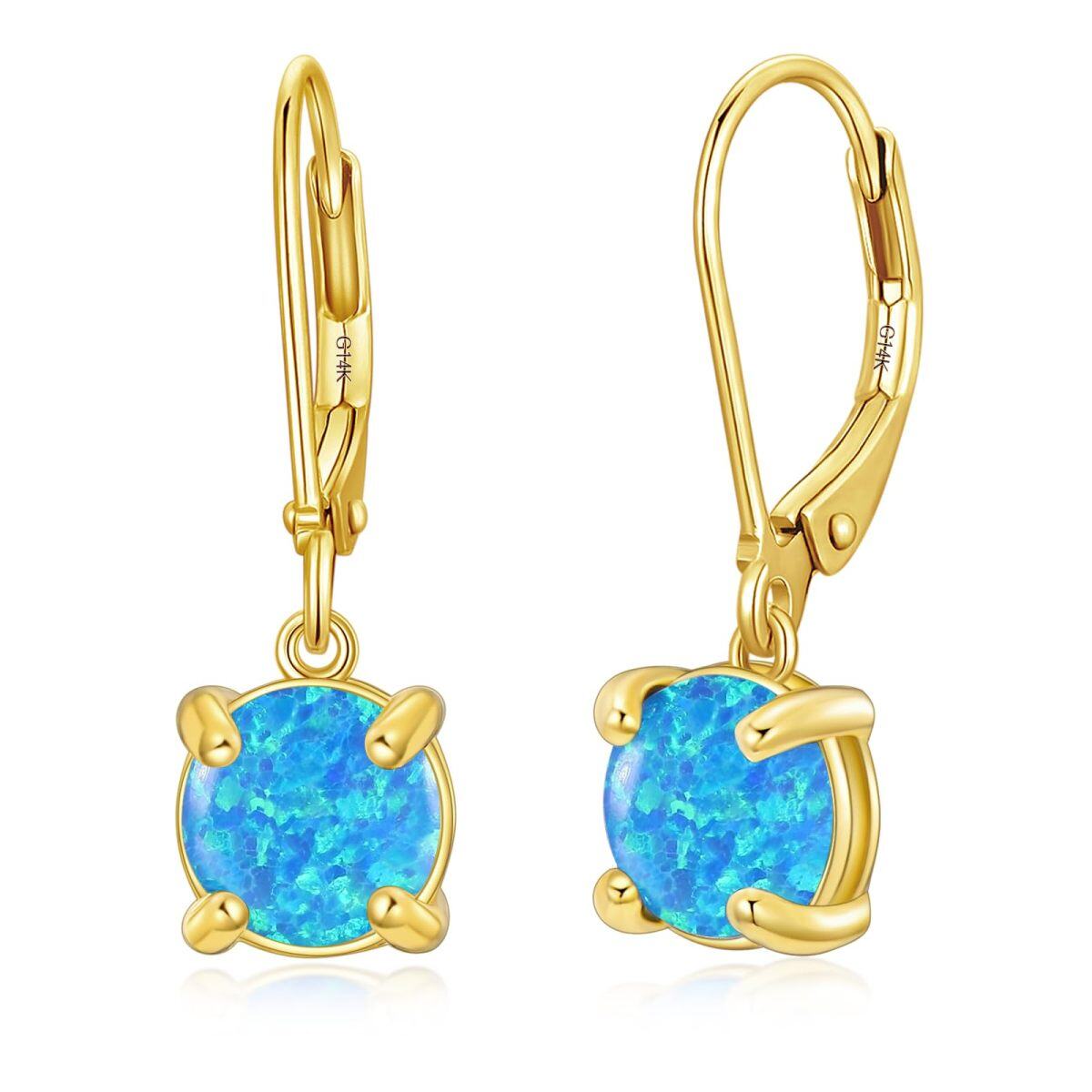 14K Gold Opal Round Lever-back Earrings for Women-1