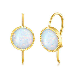 14K Gold Opal Stud Earrings-8