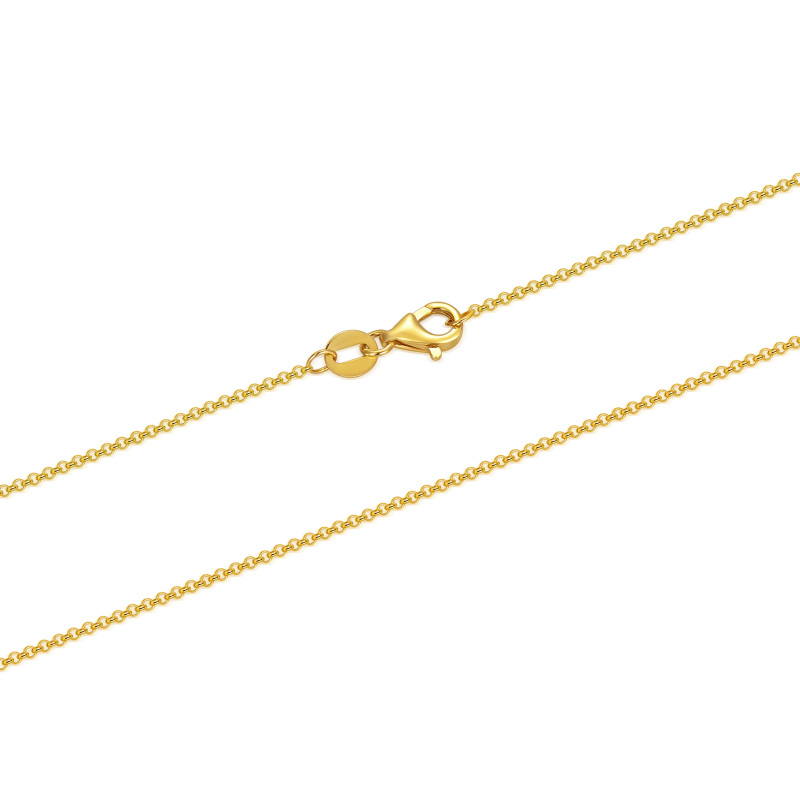 Collier à chaîne Rolo en or 14K 