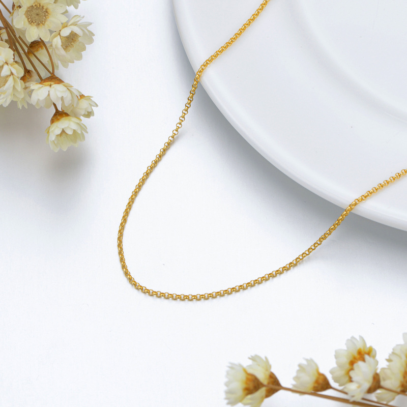 10K Gold Rolo Chain Necklace-3