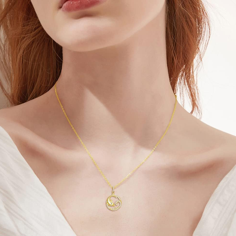 Colar de spray de golfinho de zircônia cúbica de ouro vermeil para mulheres-2