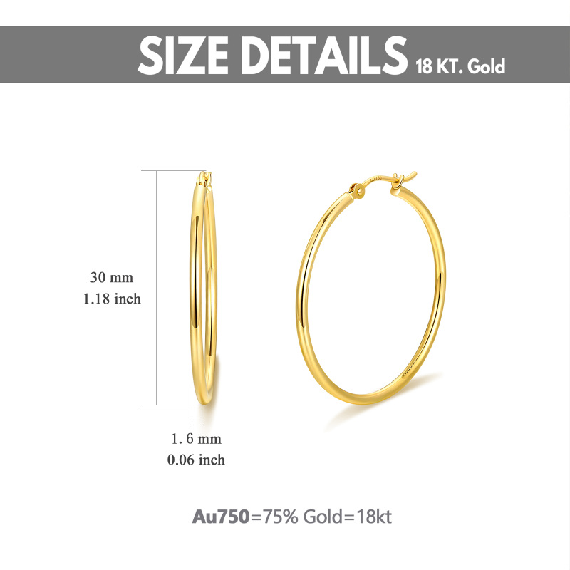18K Gold 30mm Round Hoop Earrings-5
