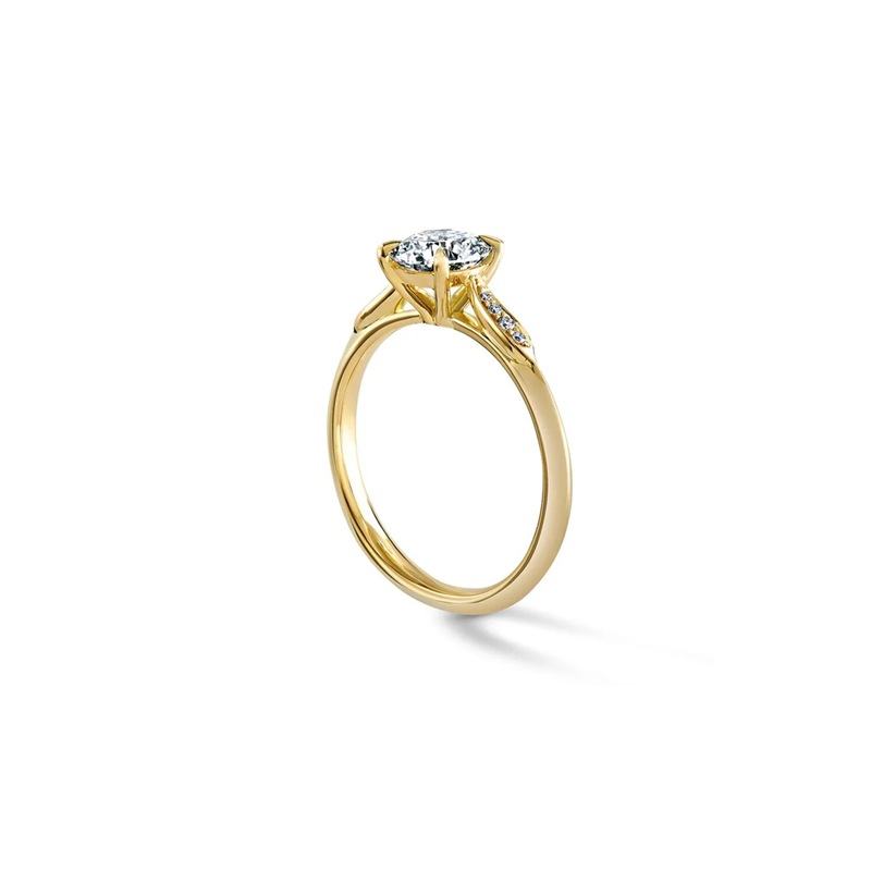 Anel de noivado com círculo de moissanite em ouro 18K-4