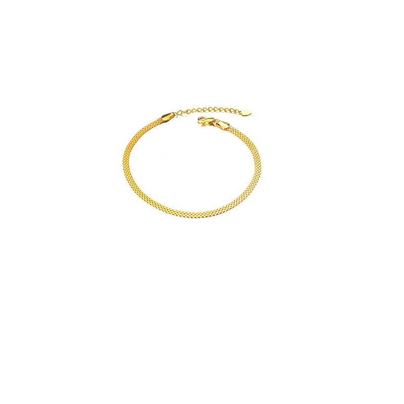 Enkelbandje van 14K goud met enkele ketting-1