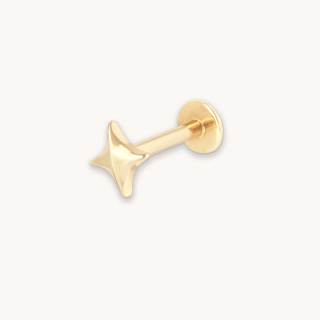 Sterling Silver with Yellow Gold Plated Star Helix Piercing-5
