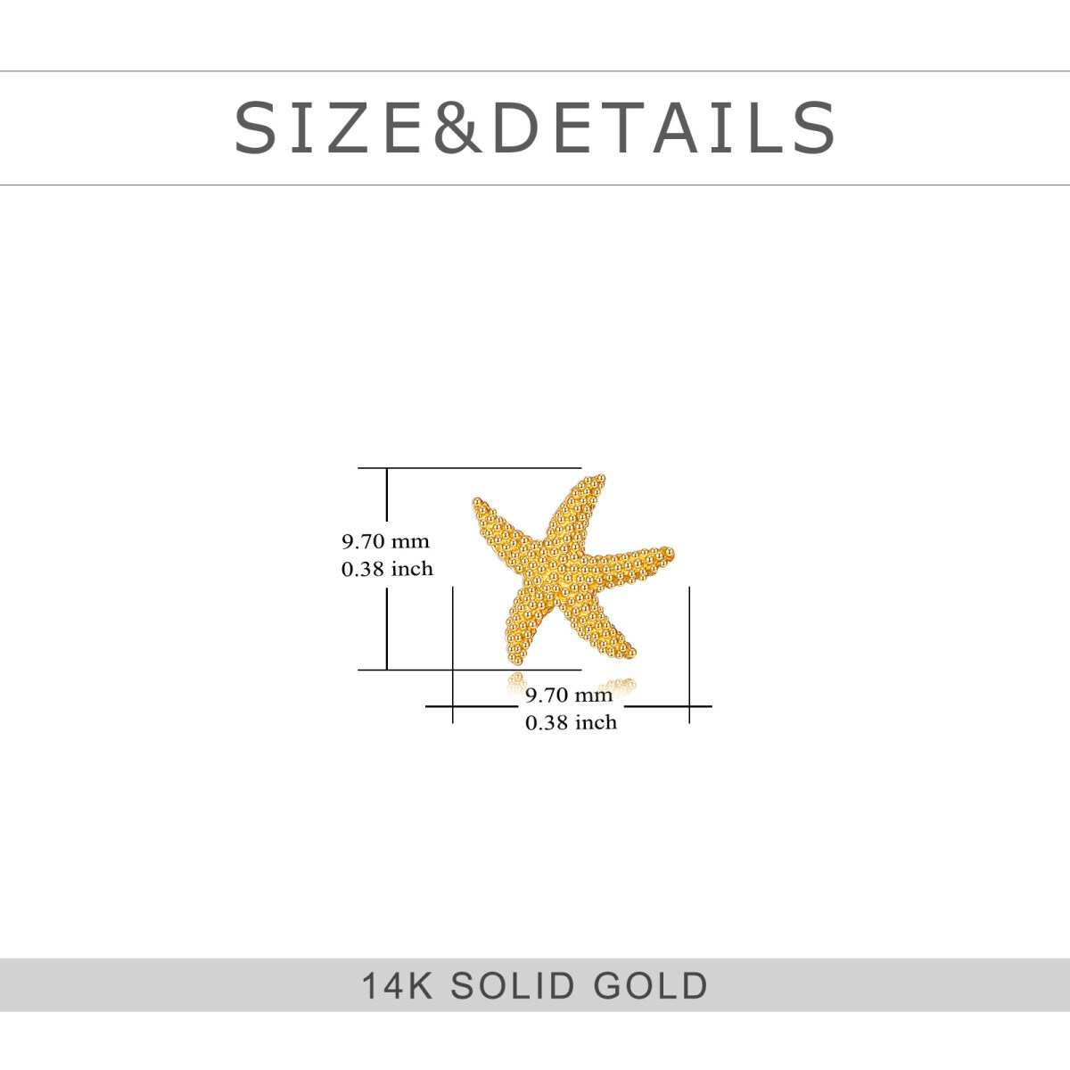 14K Gold Starfish Stud Earrings-5