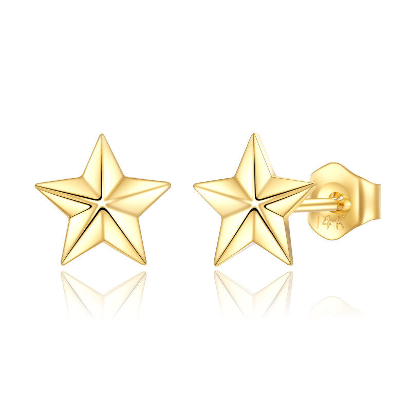 Sternohrstecker aus 10-karätigem Gold-1