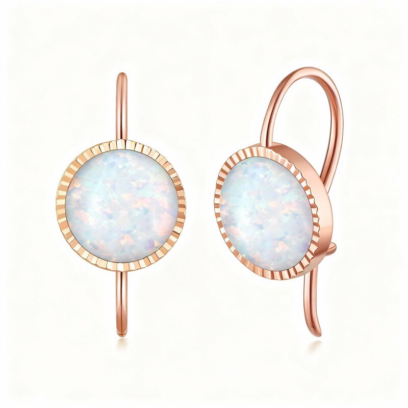 Boucles d'oreilles puces en or rose 10 carats et opale-1