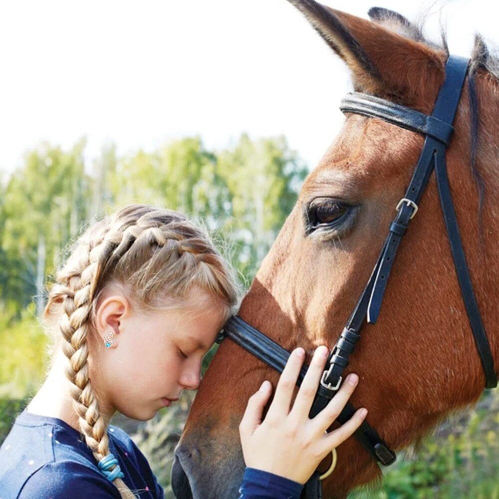 Sterling Silver Cubic Zirconia Horse & Heart Stud Earrings-3