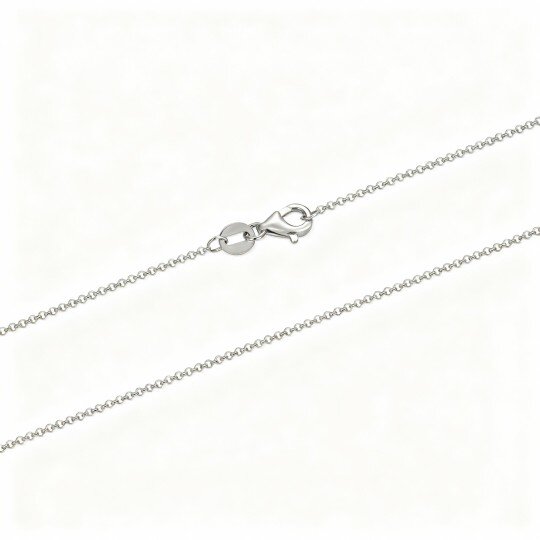 10K White Gold Rolo Chain Necklace