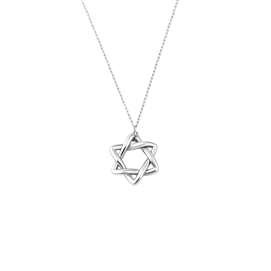 10K White Gold Star Of David Pendant Necklace
