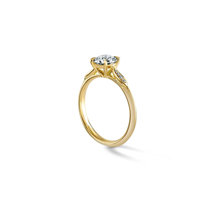 Anillo de compromiso de oro de 10 quilates con moissanita de talla redonda y halo-4