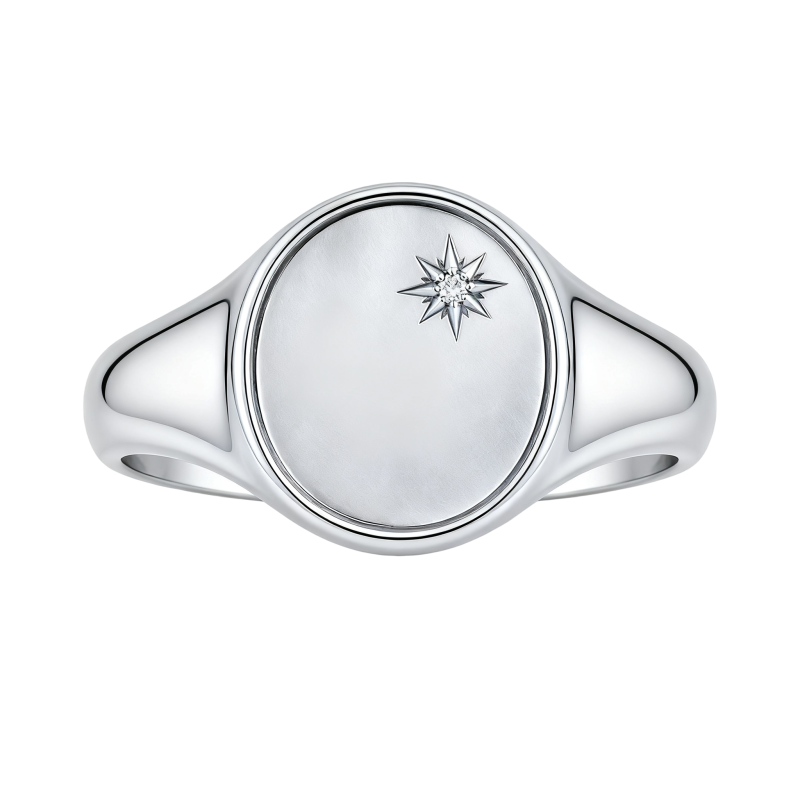 Anillo de sello personalizado con inicial y piedra de nacimiento en oro blanco de 10 quilates para hombre.-1