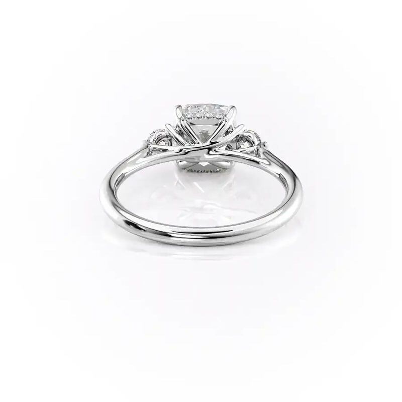 10K White Gold Moissanite Engagement Ring-3