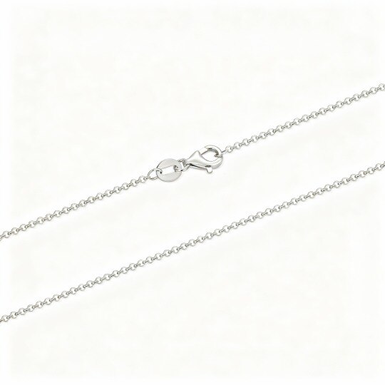 10K White Gold Rolo Chain Necklace
