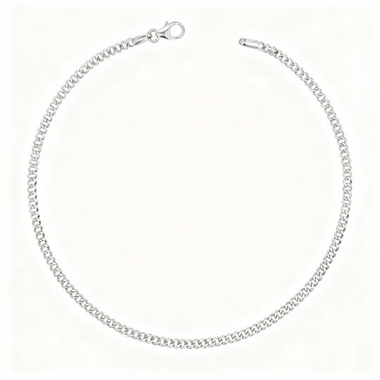 10K White Gold Single Chain Anklet