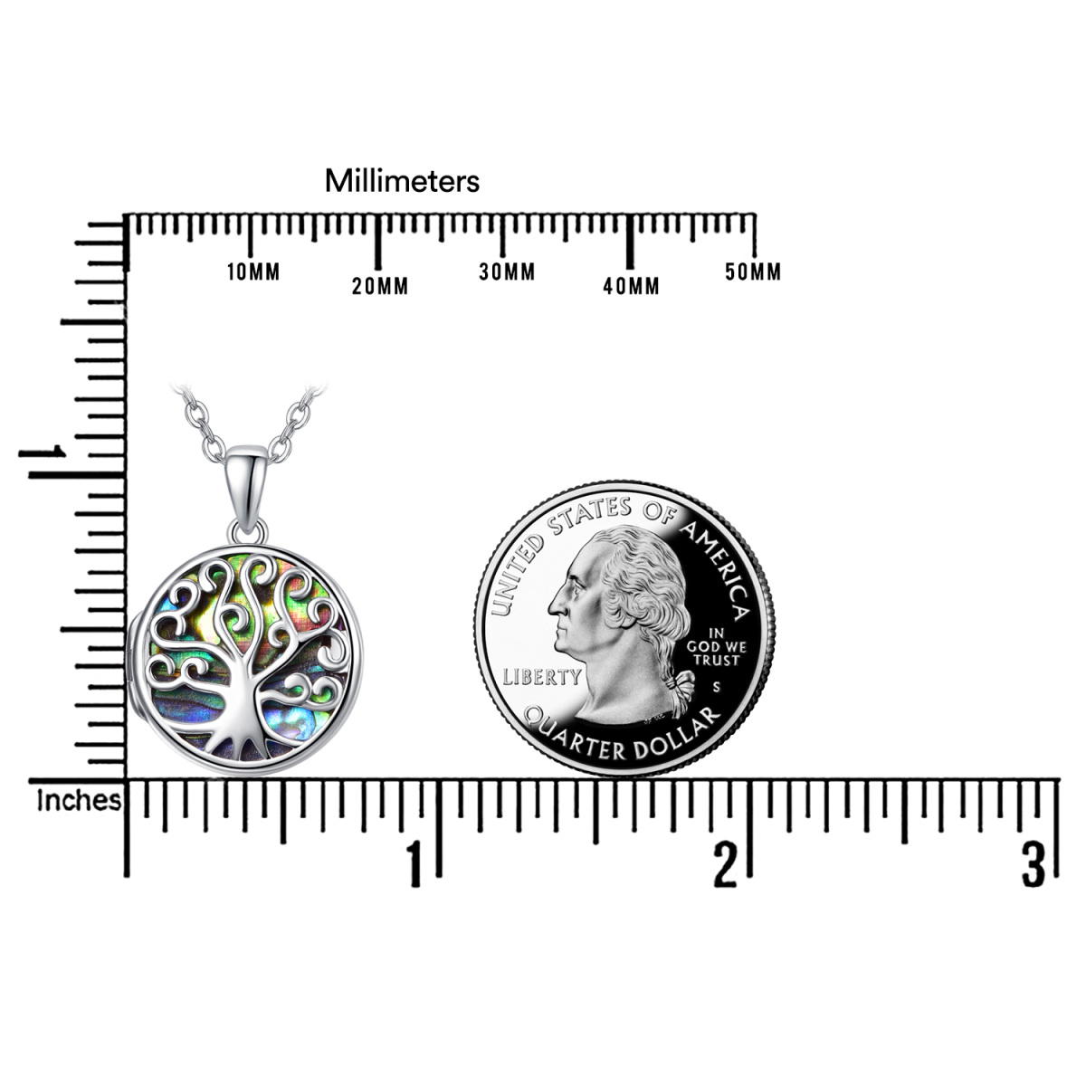 Sterling Silver Abalone Shellfish Tree Of Life & Personalized Photo Locket Necklace-5