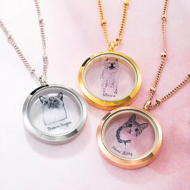 Acero inoxidable con chapado en oro blanco Gato Personalizada Grabación Foto Locket Collar-3