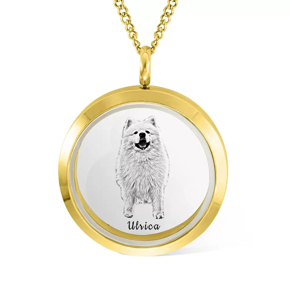 Collar con medallón de foto personalizado de acero inoxidable con grabado personalizado de gato chapado en oro amarillo para mujer-1