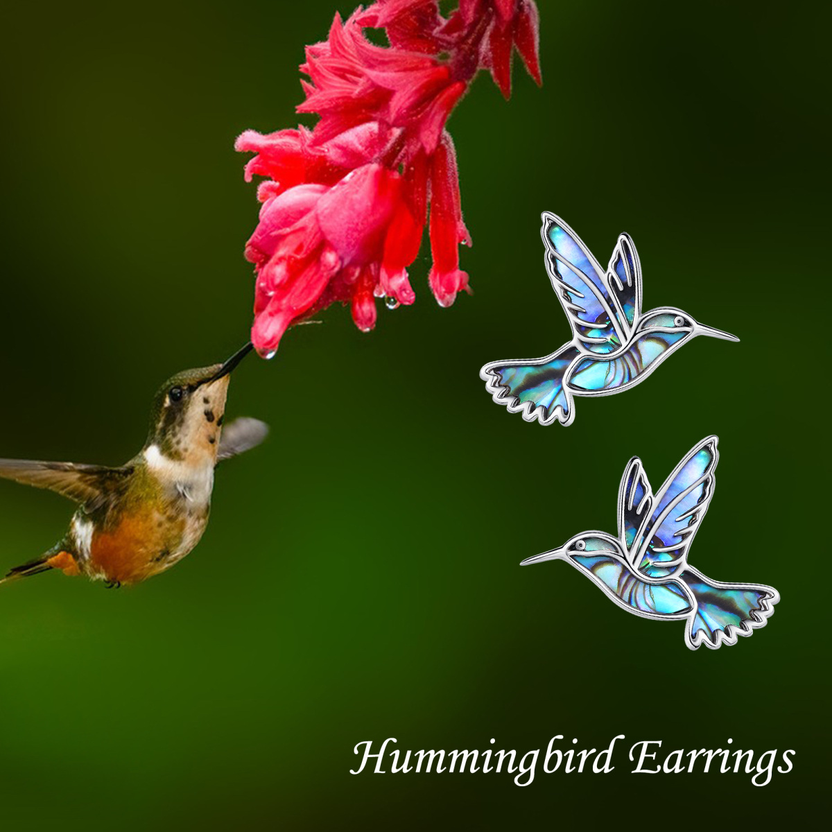 Boucles d'oreilles à tige en argent sterling en forme de coquillage d'ormeau et de colibri-7