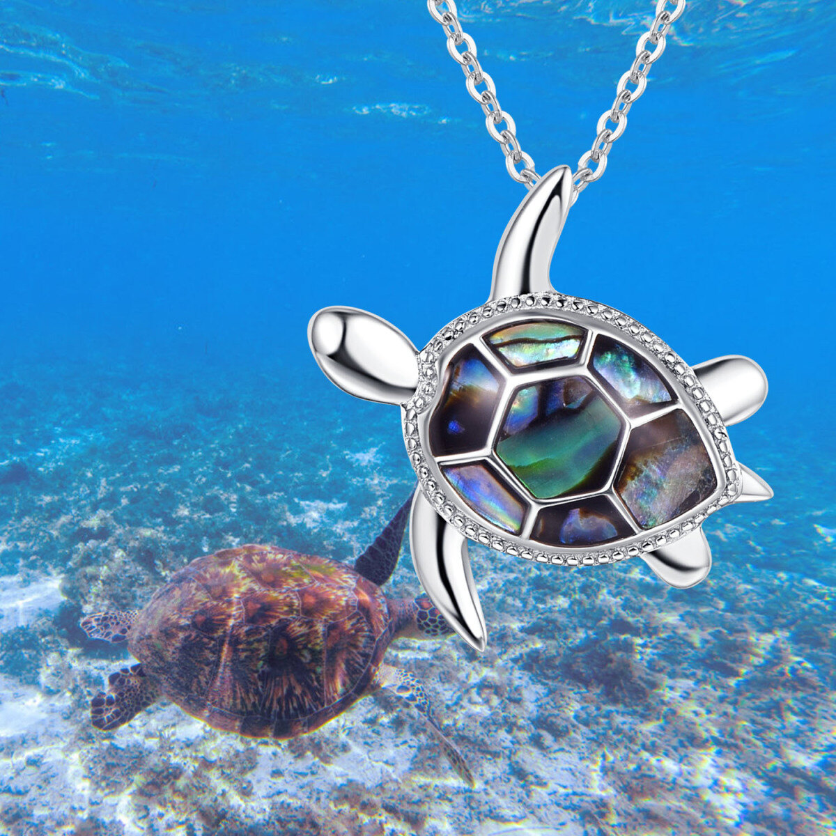 Sterling Silver Abalone Shellfish Sea Turtle Pendant Necklace-4