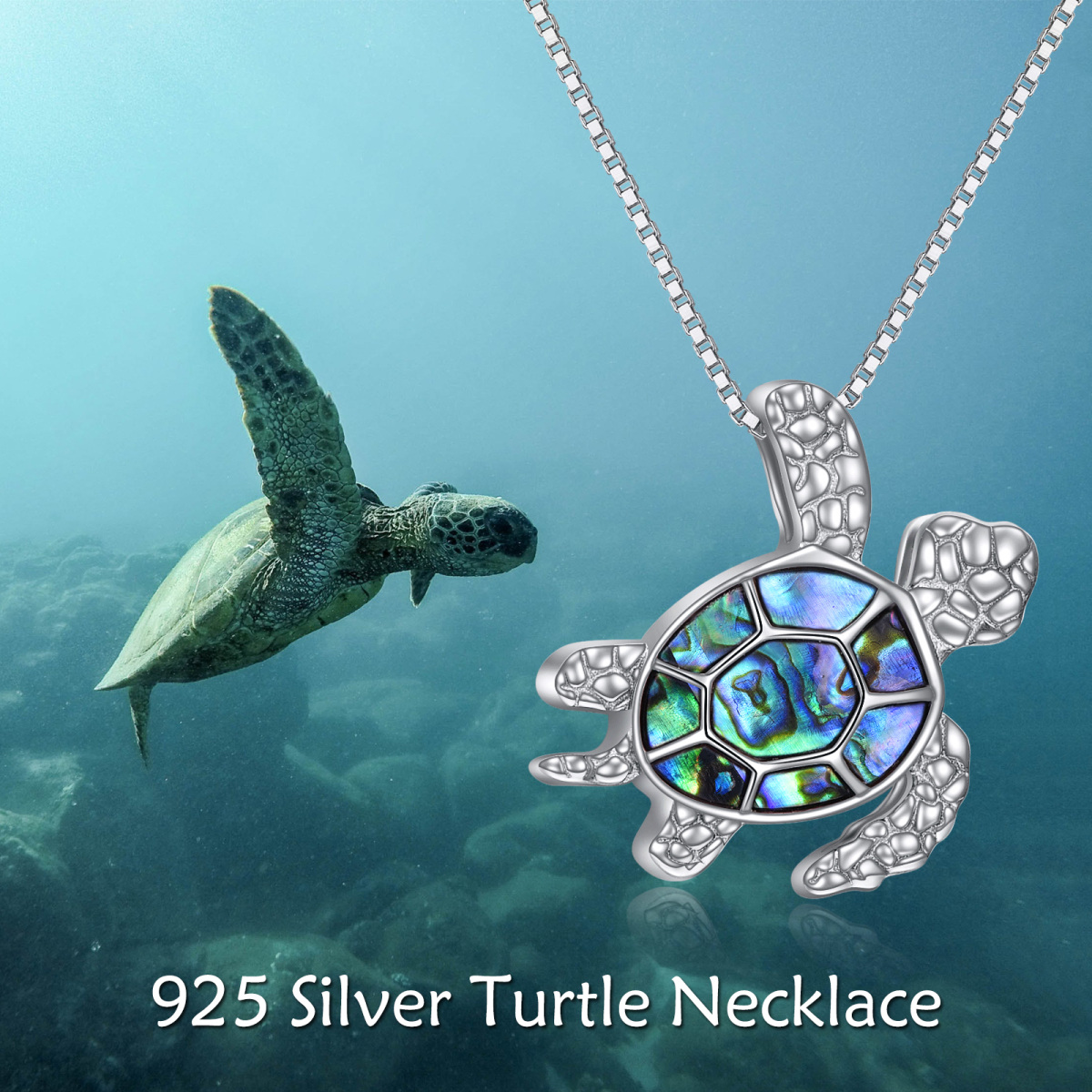 Collier Urne en argent Abalone Coquillage Tortue de mer-3