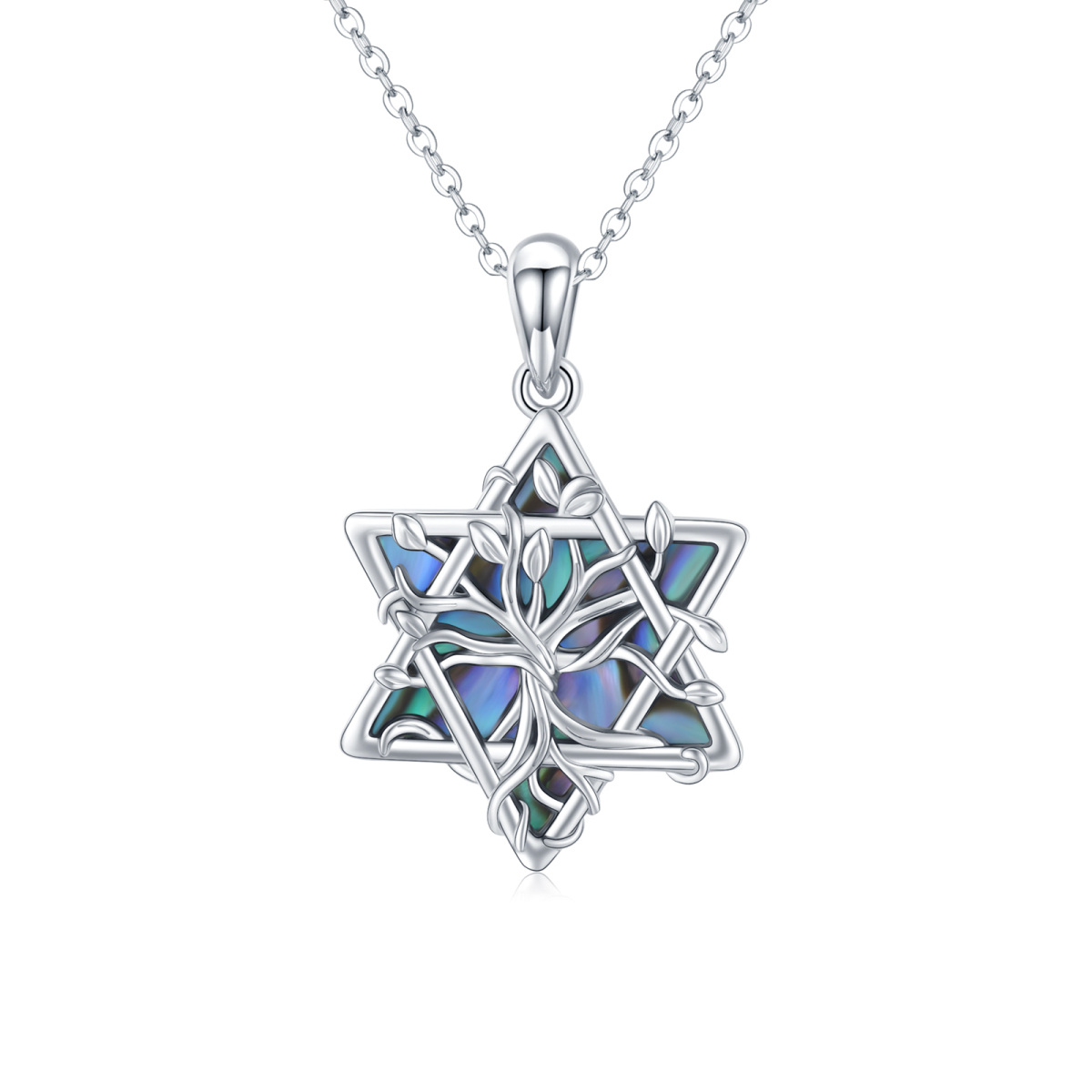 Sterling Silver Abalone Shellfish Star Of David Tree Of Life Pendant Necklace For Women-1