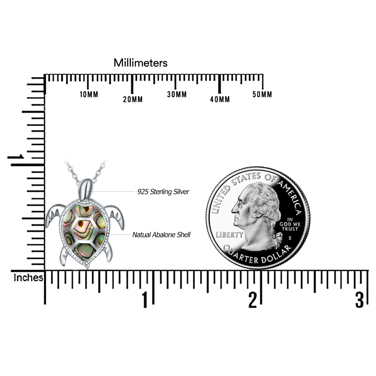 Sterling Silber Abalone Schalentier Schildkröte Anhänger Halskette-5