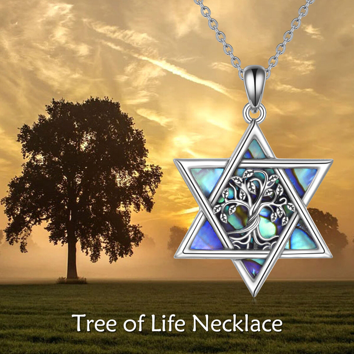 Sterling Silver Abalone Shellfish Tree Of Life & Star Of David Pendant Necklace-3