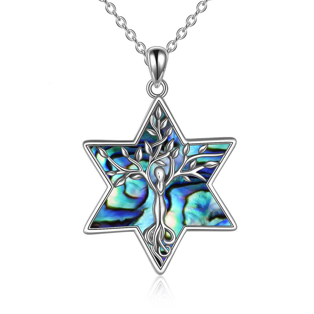 Sterling Silver Abalone Shellfish Tree Of Life & Star Of David Pendant Necklace For Women-1