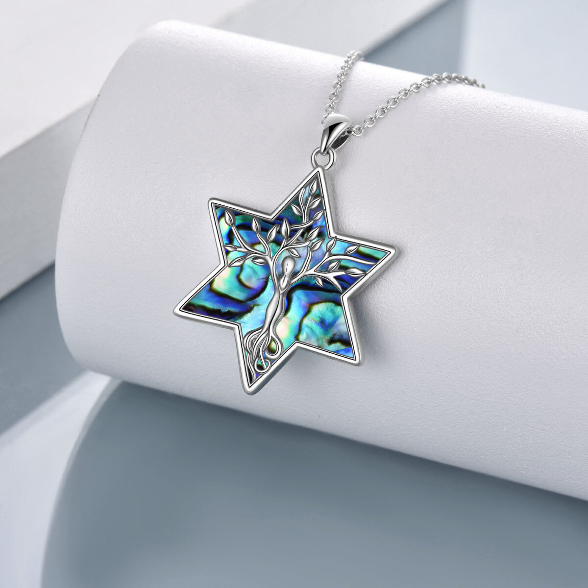 Sterling Silver Abalone Shellfish Tree Of Life & Star Of David Pendant Necklace For Women-3