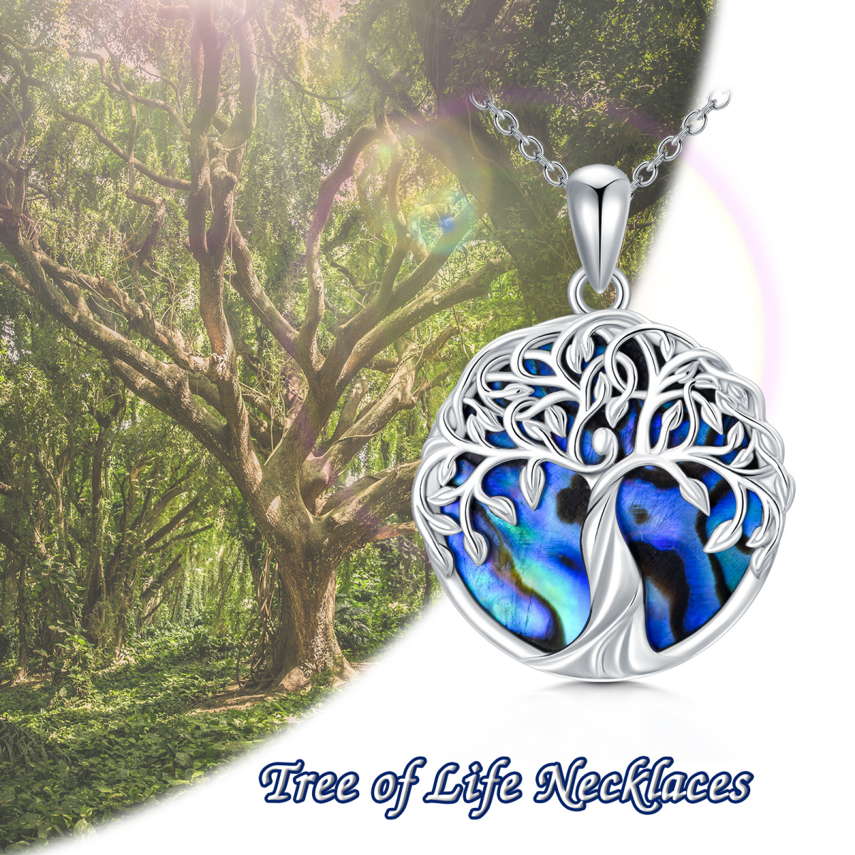 Collier en argent sterling avec pendentif arbre de vie en forme de coquillage abalone de f-5