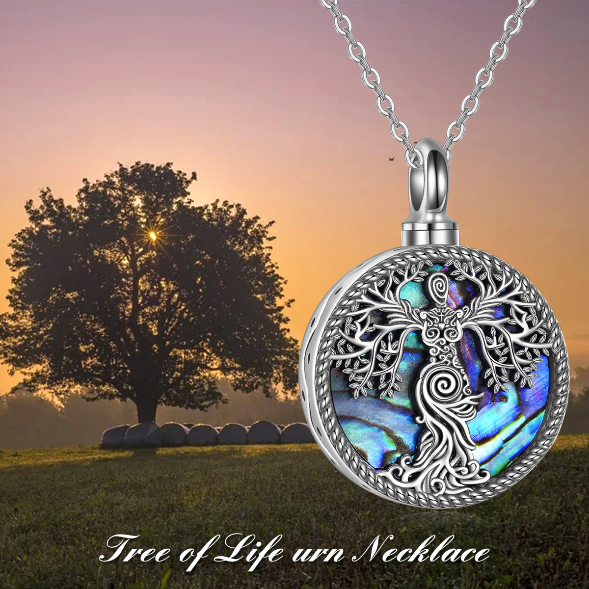 Collier en argent sterling pour cendres, forme circulaire, coquillage abalone, arbre de vi-6