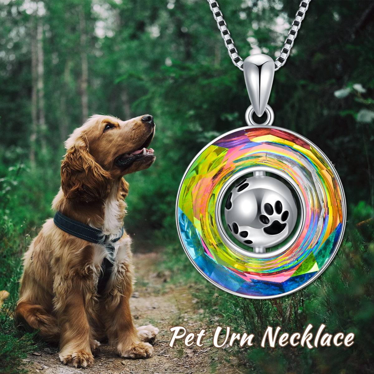 Collier en argent sterling avec urne pour chien en cristal de forme circulaire-6