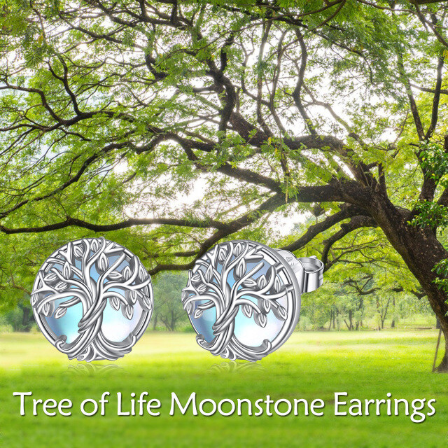 Boucles d'oreilles en argent sterling en forme circulaire d'arbre de vie en pierre de lune-6