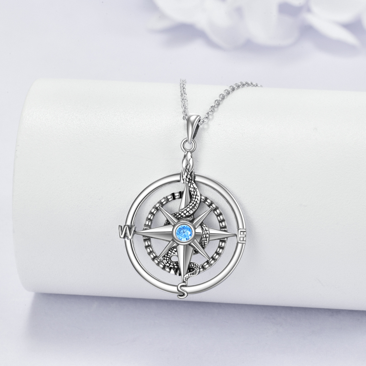 Sterling Silver Circular Shaped Cubic Zirconia Snake & Compass Pendant Necklace-3