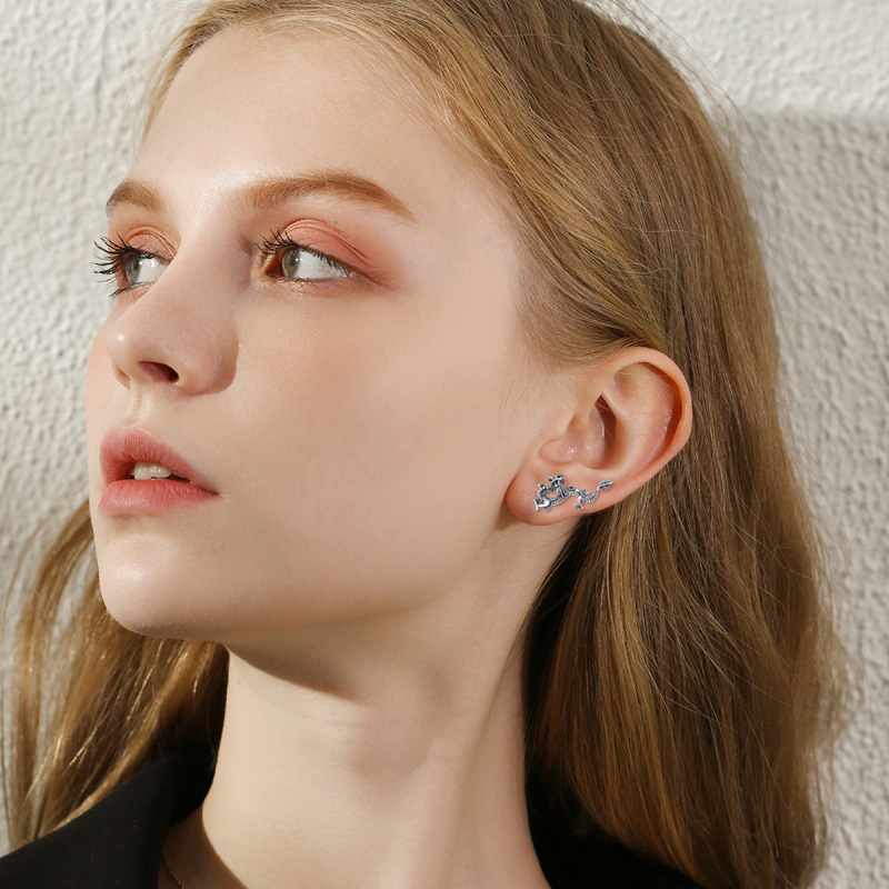 Brincos de prata esterlina com pino de dragão-2