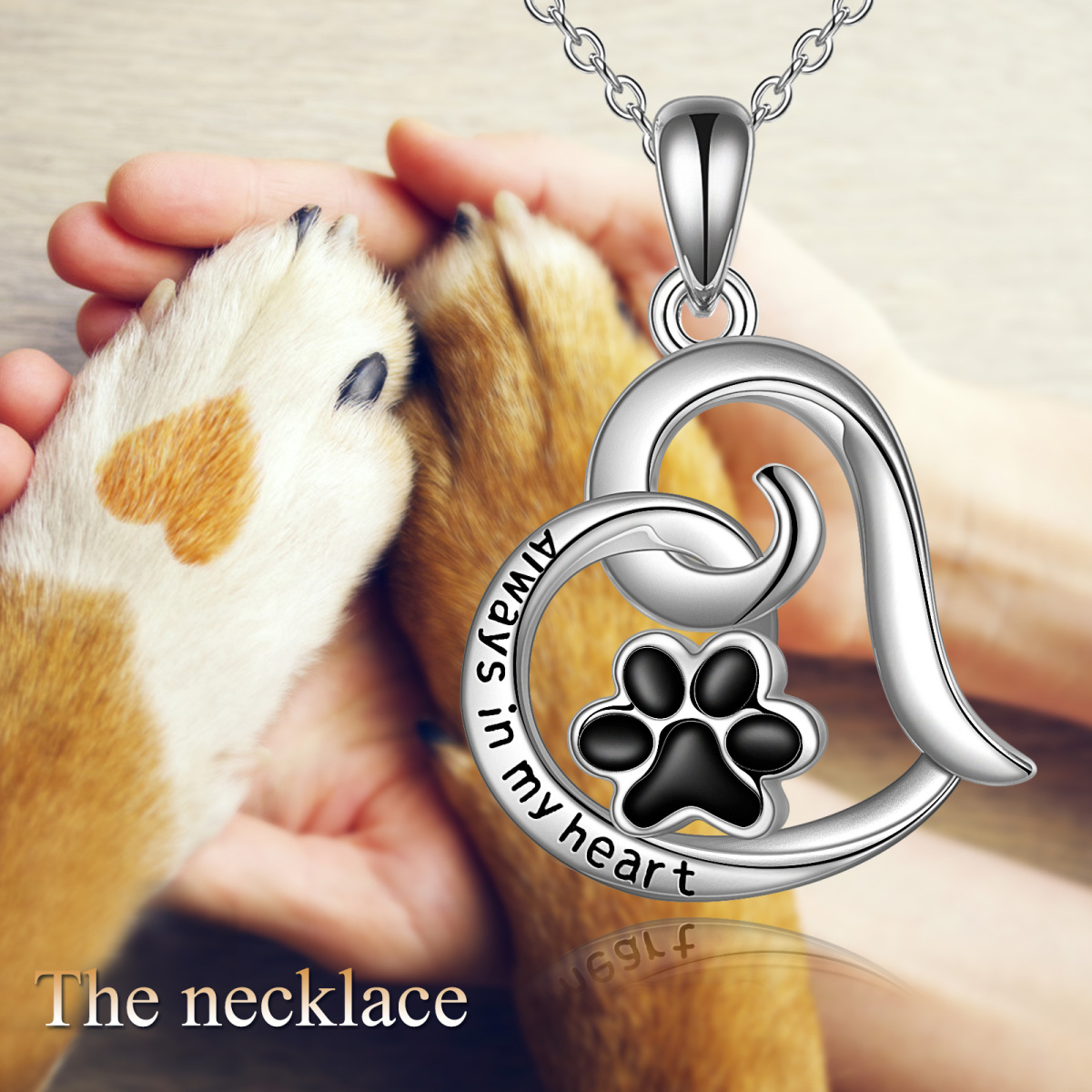 Collares de urna de plata de ley con forma de corazón de recuerdo de urna para mascotas para cenizas para pata de perro y gato-5