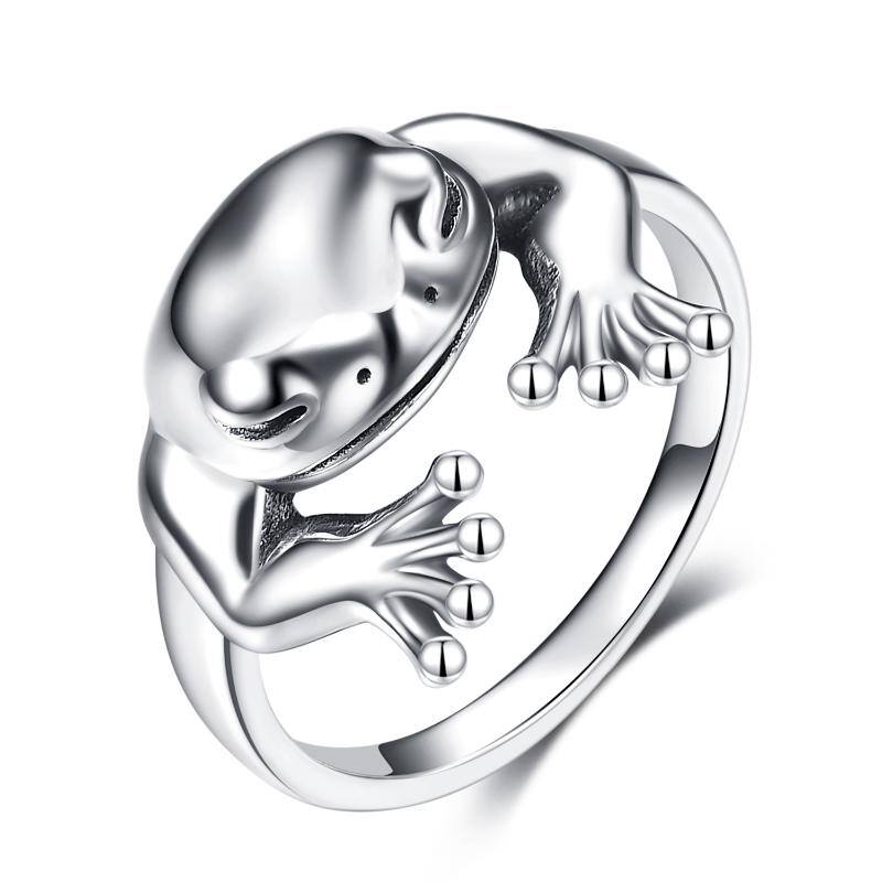 Sterling Silver Fro… - image