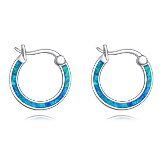 Sterling Silver Opal Circle & Round Hoop Earrings-30