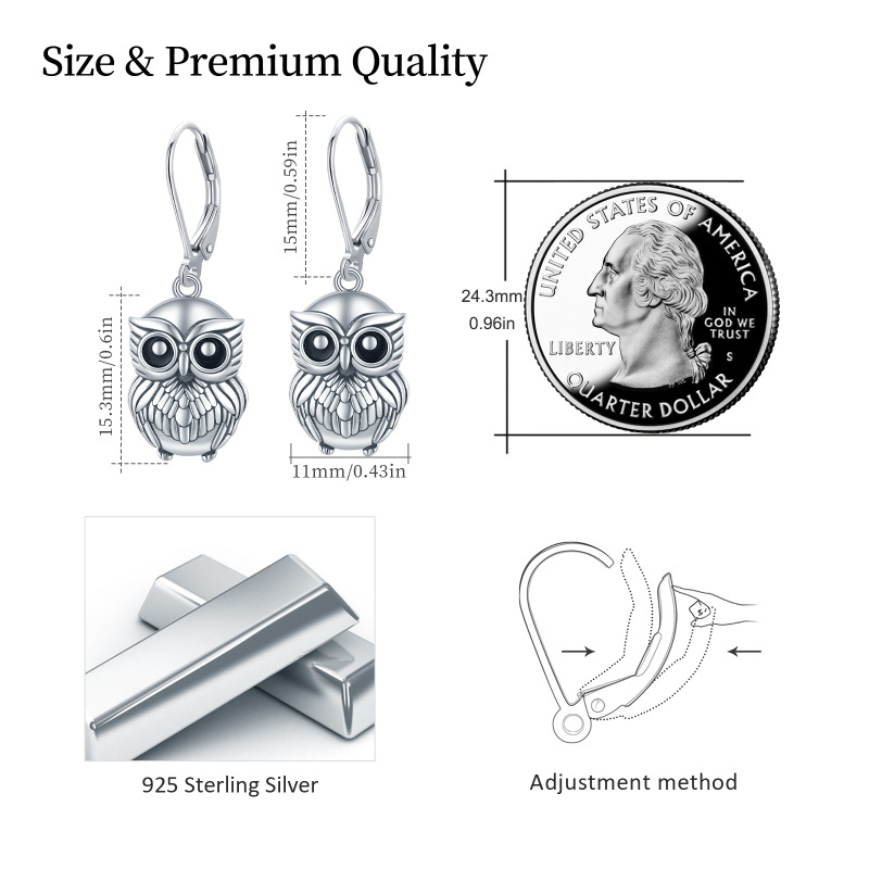 Sterling Silver Owl Lever-back Earrings-5